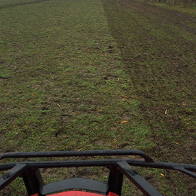 Harrow "Before" 4th April Harrowed and Fertilised